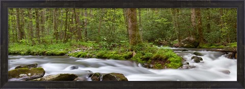Framed Panoramic Of Straight Fork Creek In Spring, North Carolina Print