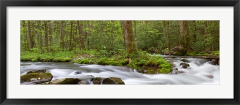 Framed Panoramic Of Straight Fork Creek In Spring, North Carolina Print