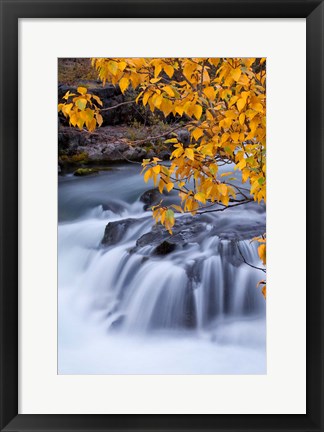 Framed Rogue River Waterfalls In Autumn, Oregon Print
