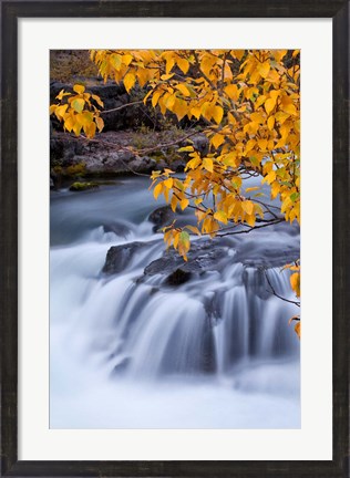 Framed Rogue River Waterfalls In Autumn, Oregon Print