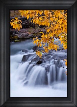 Framed Rogue River Waterfalls In Autumn, Oregon Print