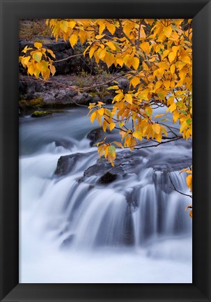 Framed Rogue River Waterfalls In Autumn, Oregon Print