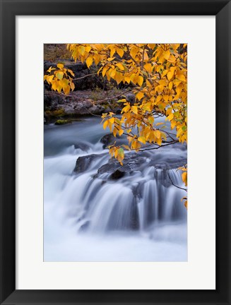 Framed Rogue River Waterfalls In Autumn, Oregon Print