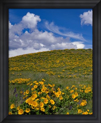 Framed Rowena Plateau Landscape, Oregon Print