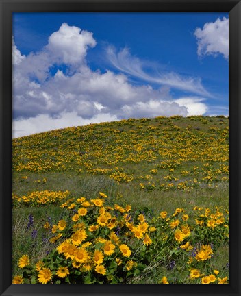 Framed Rowena Plateau Landscape, Oregon Print