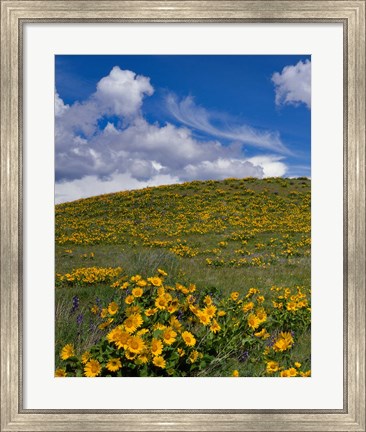 Framed Rowena Plateau Landscape, Oregon Print