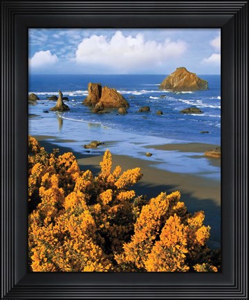 Framed Rocky Coastline Of Oregon Print