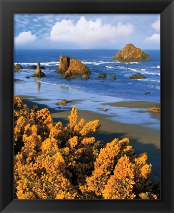 Framed Rocky Coastline Of Oregon Print