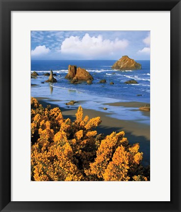 Framed Rocky Coastline Of Oregon Print