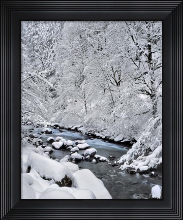 Framed Snow On Boulder Creek, Oregon Print