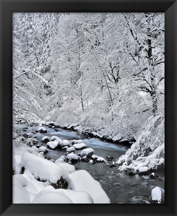 Framed Snow On Boulder Creek, Oregon Print