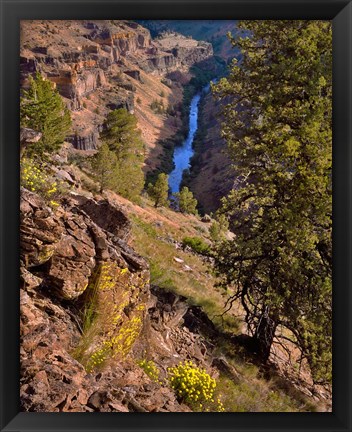 Framed Deschutes Canyon Landscape, Oregon Print