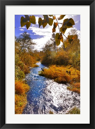 Framed Scenic View Of Dieckman Creek, Oregon Print