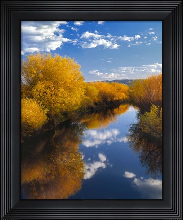 Framed Donner And Blitzen River Landscape, Oregon Print