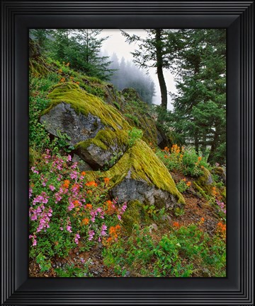 Framed Scenic View Of Mt Hood National Forest, Oregon Print