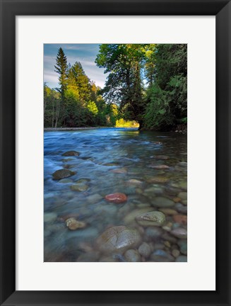 Framed Sandy River Landscape, Oregon Print