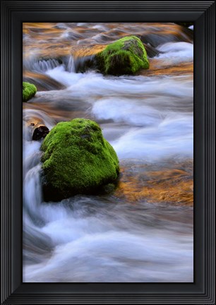 Framed Mckenzie River Flowing Over Moss-Covered Rocks, Oregon Print