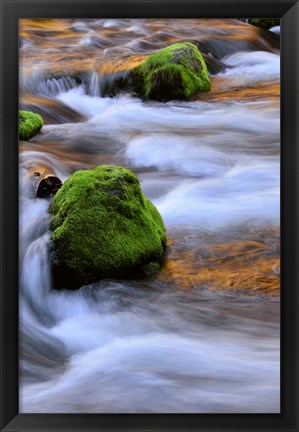 Framed Mckenzie River Flowing Over Moss-Covered Rocks, Oregon Print