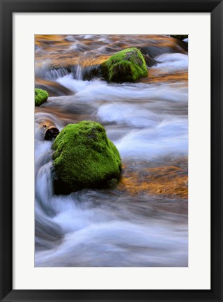 Framed Mckenzie River Flowing Over Moss-Covered Rocks, Oregon Print