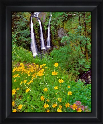 Framed Triple Falls, Oregon Print