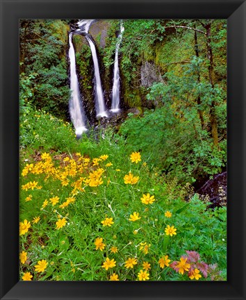 Framed Triple Falls, Oregon Print