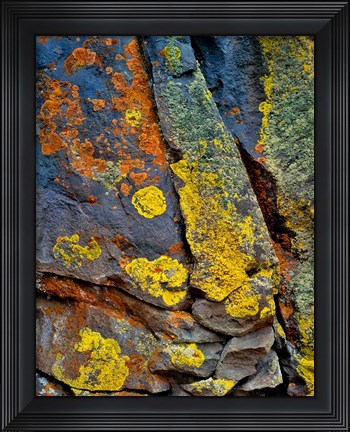 Framed Lichen Covered Basalt Rock, Oregon Print
