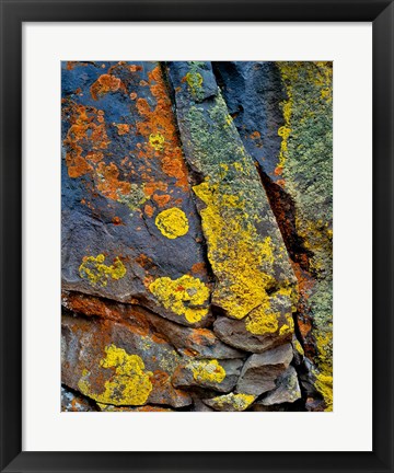 Framed Lichen Covered Basalt Rock, Oregon Print