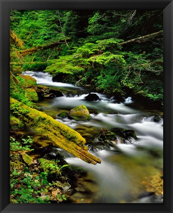 Framed Still Creek, Oregon Print