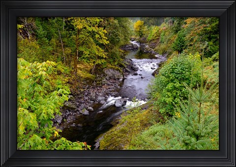Framed Wilson River Landscape, Oregon Print