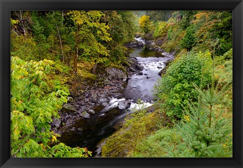Framed Wilson River Landscape, Oregon Print