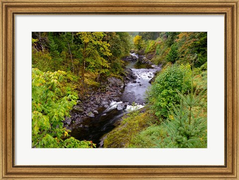 Framed Wilson River Landscape, Oregon Print