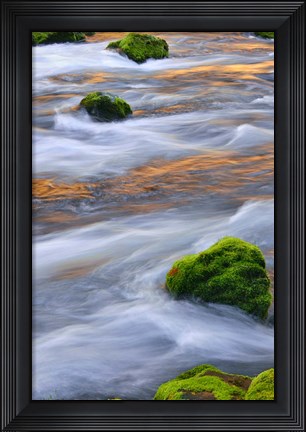 Framed Mmoss-Covered Rocks In The Mckenzie River, Oregon Print