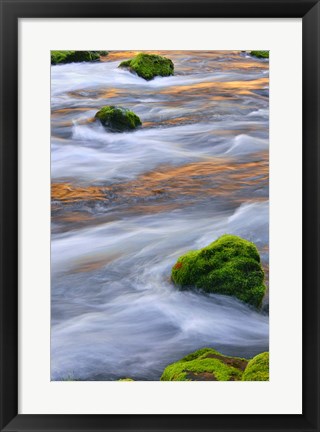 Framed Mmoss-Covered Rocks In The Mckenzie River, Oregon Print