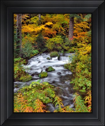 Framed Roaring River Running Through Oregon Print