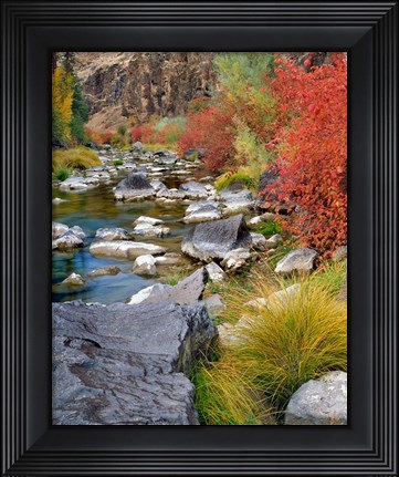Framed Fall Colors Along The John Day River Print