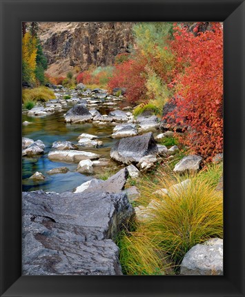 Framed Fall Colors Along The John Day River Print