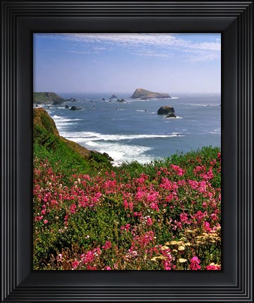 Framed Ocean Landscape Of Goat Rock And Sweet Peas, Oregon Print