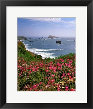 Framed Ocean Landscape Of Goat Rock And Sweet Peas, Oregon Print