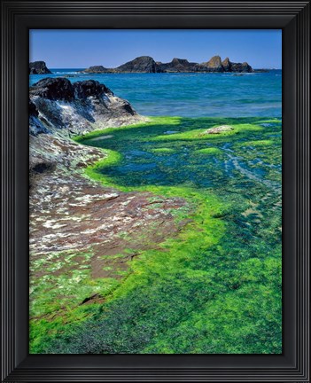 Framed Rock Formations And Algae At Seal Rock, Oregon Print