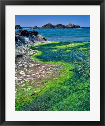 Framed Rock Formations And Algae At Seal Rock, Oregon Print