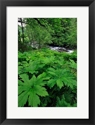 Framed Scenic View Of Little Sandy River, Oregon Print