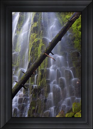 Framed Proxy Falls Over Basalt Columns, Oregon Print