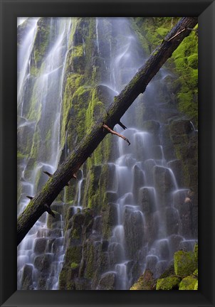 Framed Proxy Falls Over Basalt Columns, Oregon Print