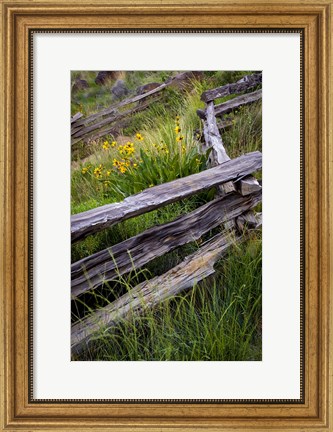 Framed Split Rail Fence In Smith Rock State Park, Oregon Print