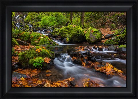 Framed Autumn Color Along Starvation Creek Falls In, Oregon Print