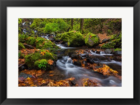 Framed Autumn Color Along Starvation Creek Falls In, Oregon Print