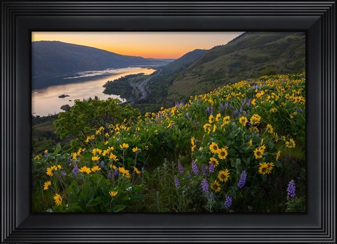 Framed Wildflowers At Rowena Plateau,  Oregon Print
