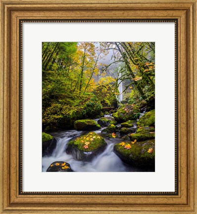 Framed Mccord Creek In Autumn, Oregon Print