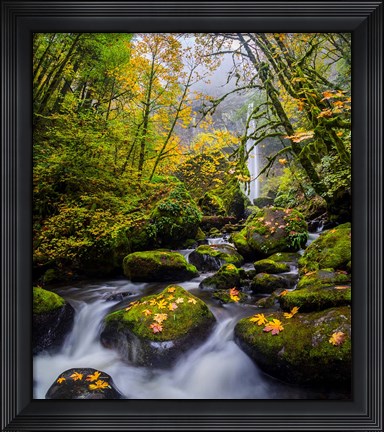 Framed Mccord Creek In Autumn, Oregon Print