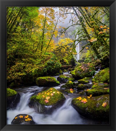 Framed Mccord Creek In Autumn, Oregon Print